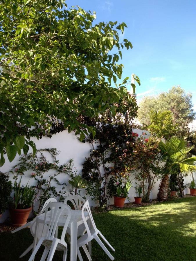 Villa Oliveira อัลบูเฟรา ภายนอก รูปภาพ
